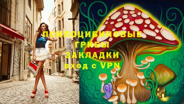 стаф Одинцово