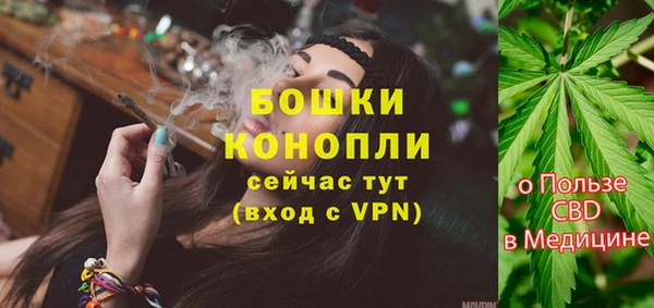 мдпв Надым