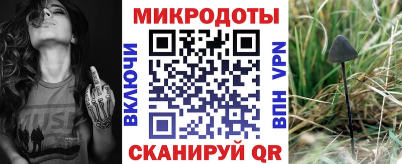 darknet клад  Волгодонск  Псилоцибиновые грибы Psilocybe 